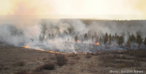 Чукотке могут потребоваться дополнительные силы и средства для тушения лесных пожаров