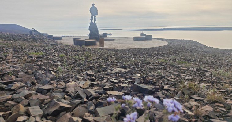 В МО Певек в понедельник ожидается ветер до 20 м/с