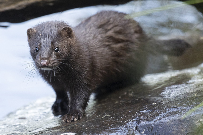 Без имени-1_0001_5Nu8BsRnkZMnsiPIZFku0xP0WIXfGA8R.jpg