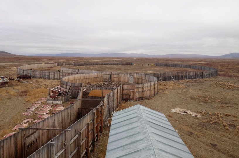 Паляваам-Муниципальный округ Певек
