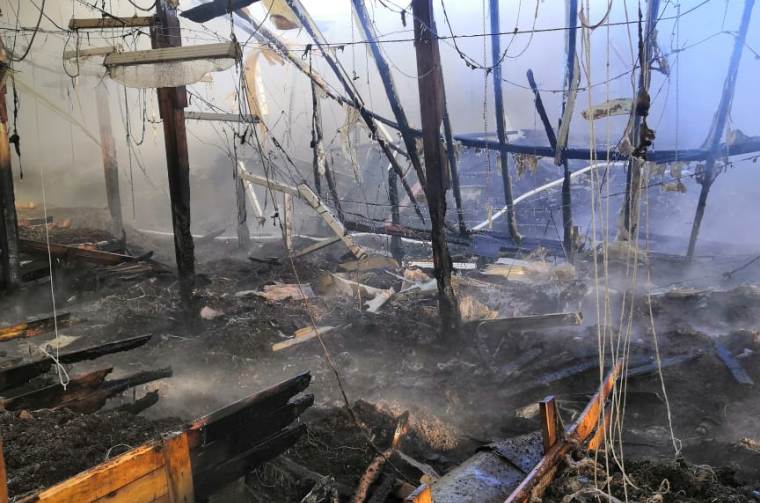 Пожар в теплице Тынтина_сайт3.jpeg
